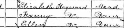 1871 Chichester census
click to enlarge
