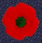 Rememberance Day 11th November