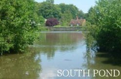 South Pond gallery
click for gallery