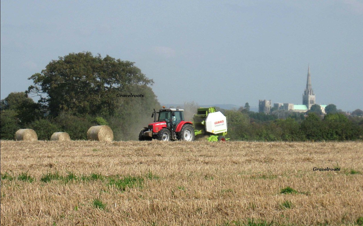 click image to return