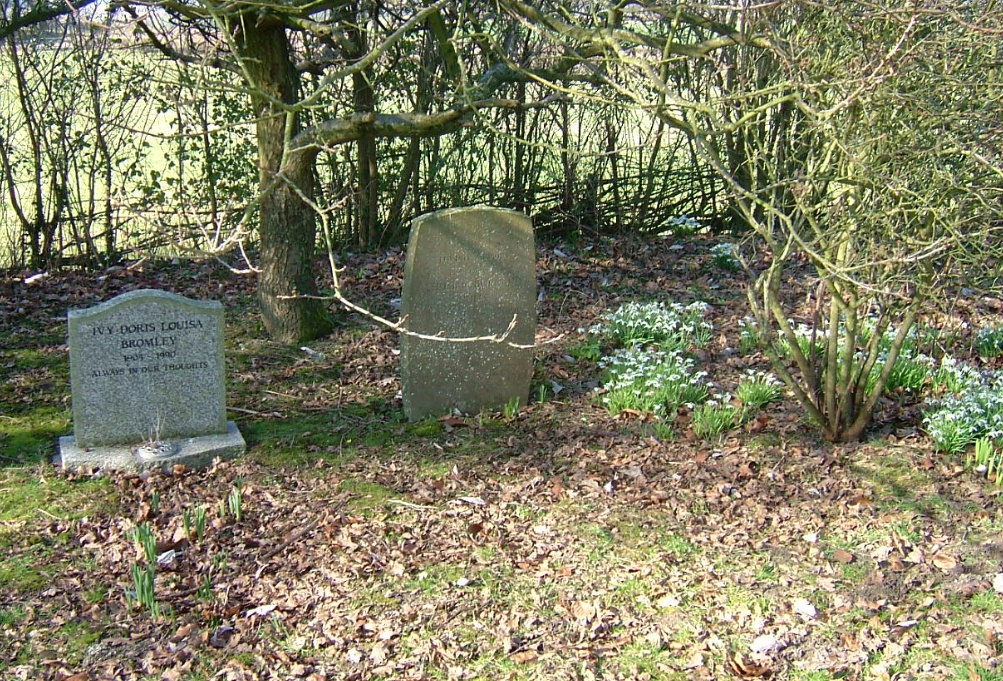 click image to return