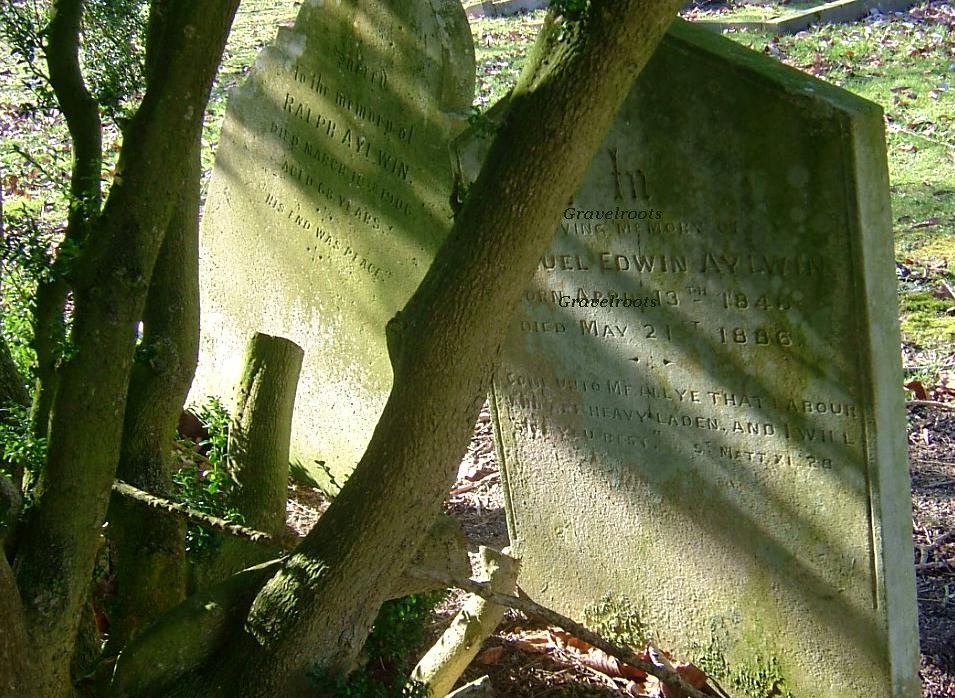 click image to return