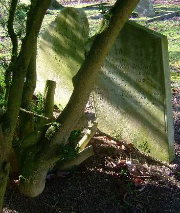 Didling Church gallery, 