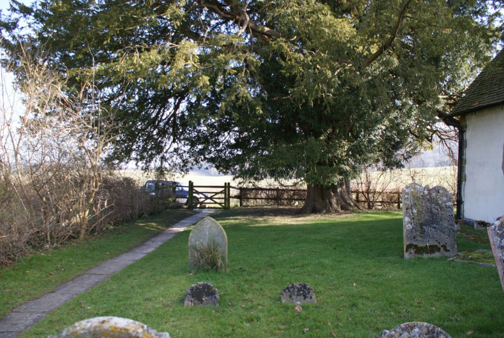 click image to return