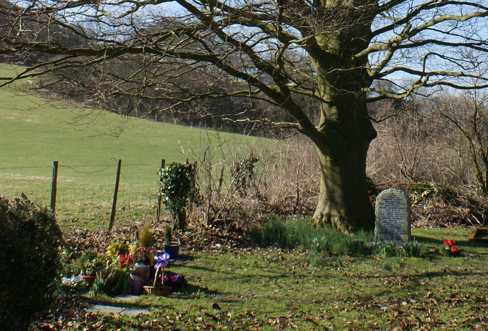 click image to return