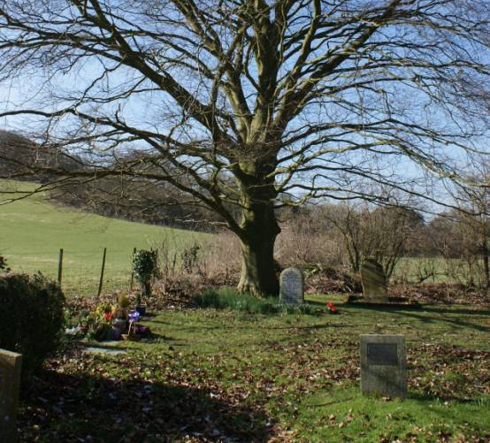 Didling Church gallery