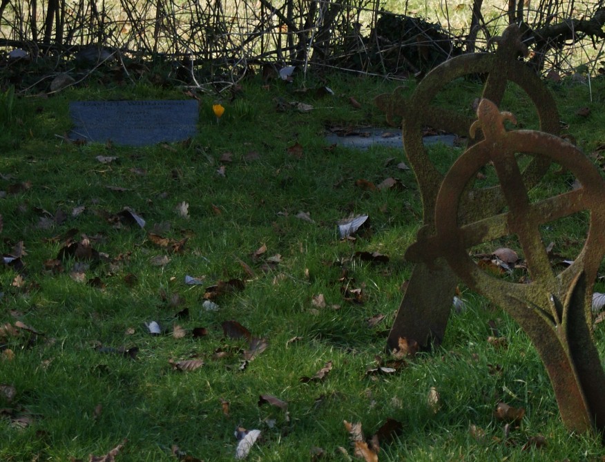 Lee Dixon, Boldon, Tyneside - Feb.2009 - click image to return