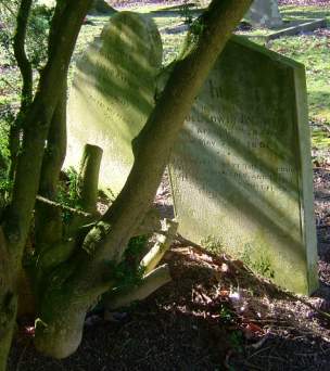 Aylwin Family headstones, Didling, West Sussex