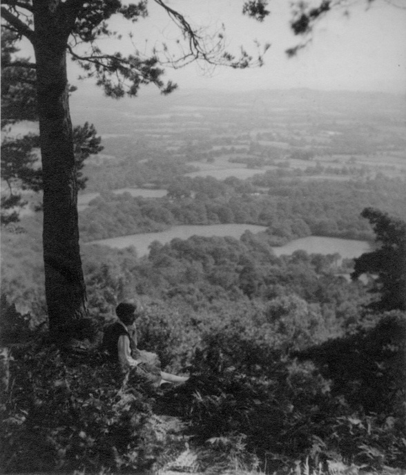 click image to return