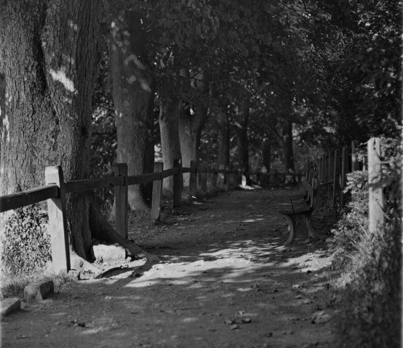 click image to return