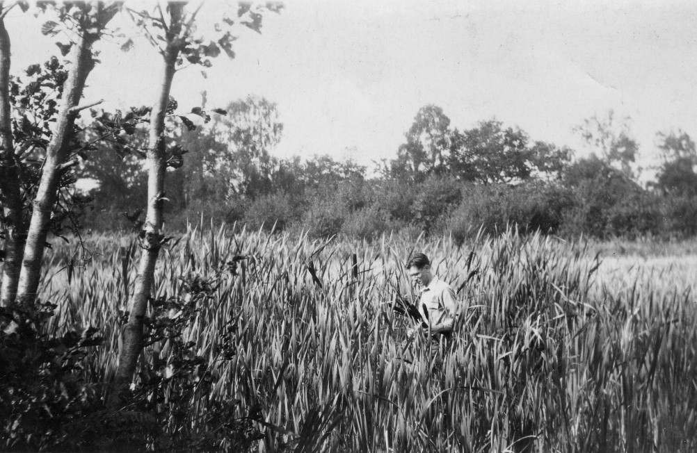 click image to return