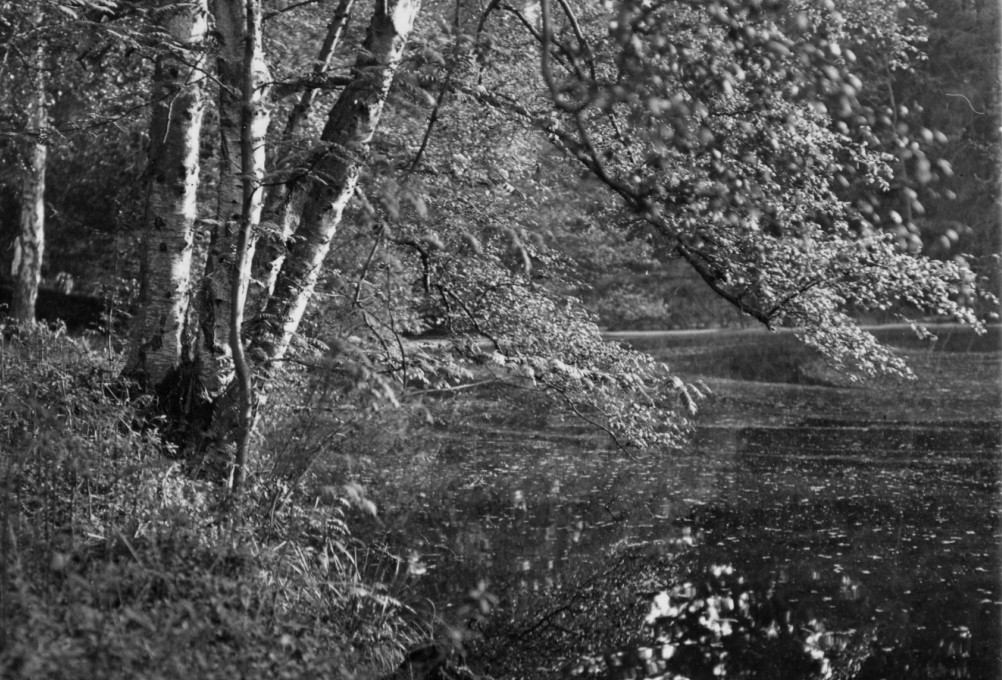 click image to return