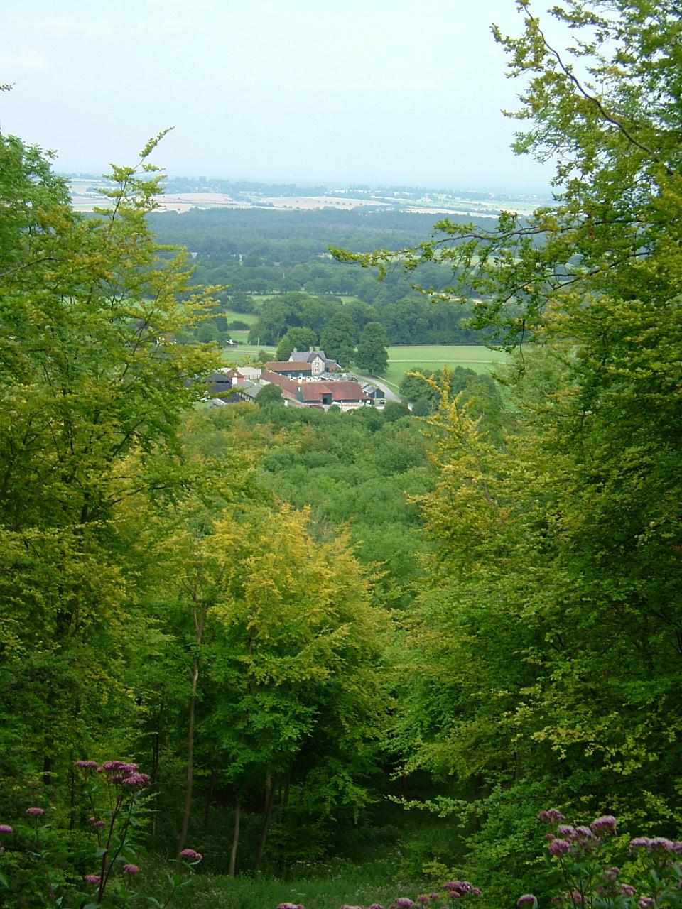 click image to return