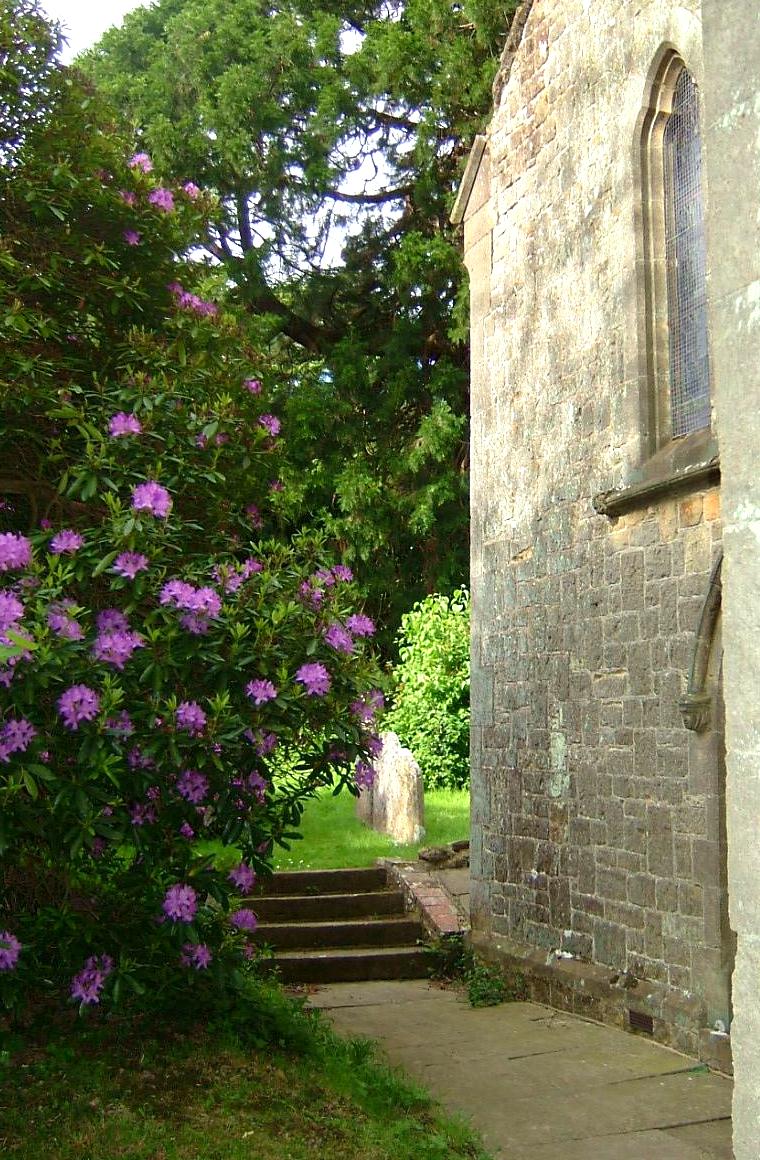 click image to return