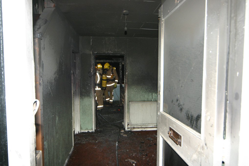 click image to return