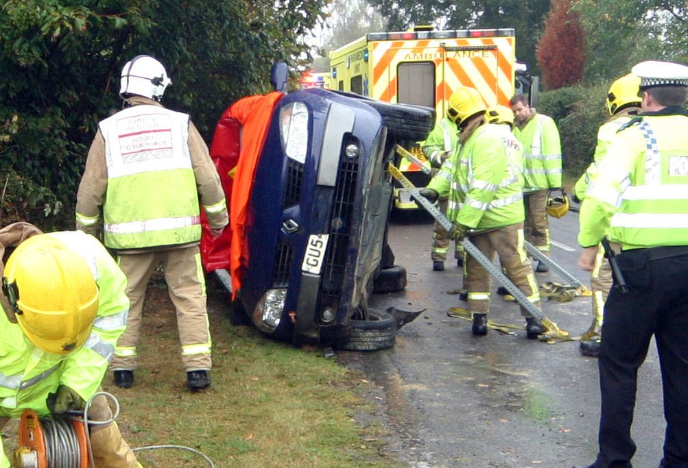 click image to return