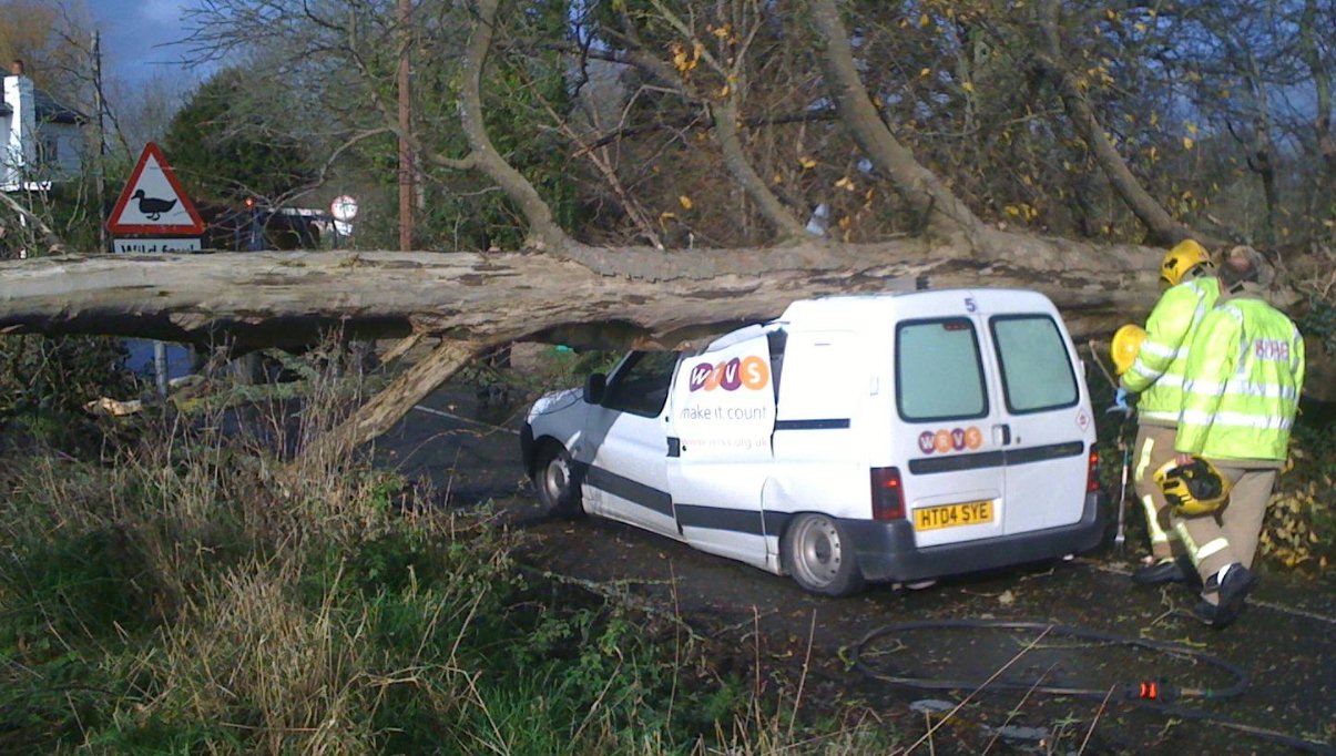 click for next image