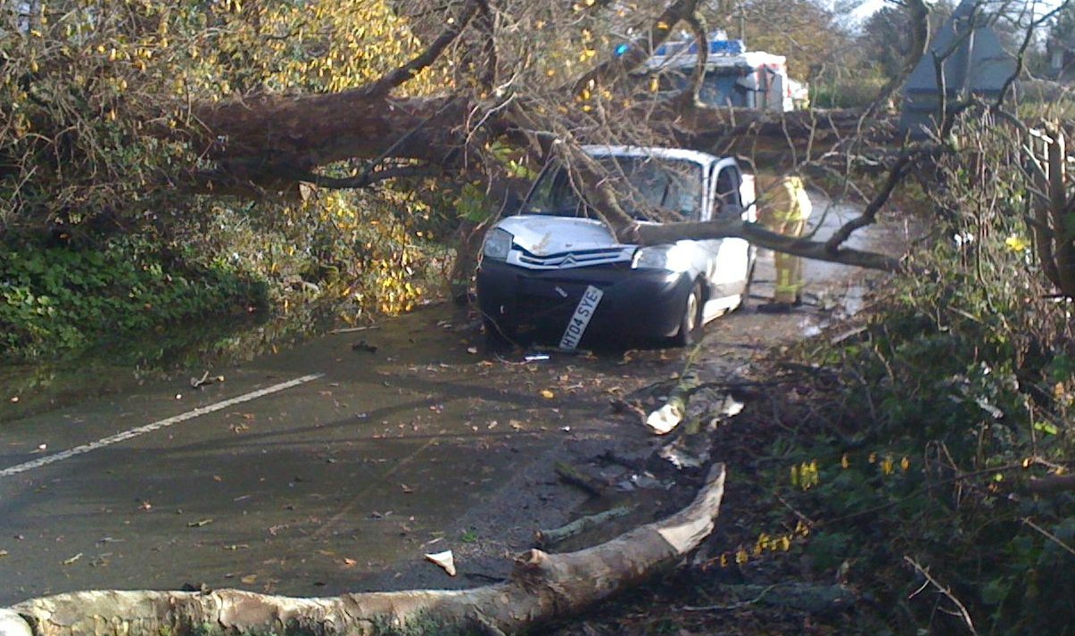 click for next image