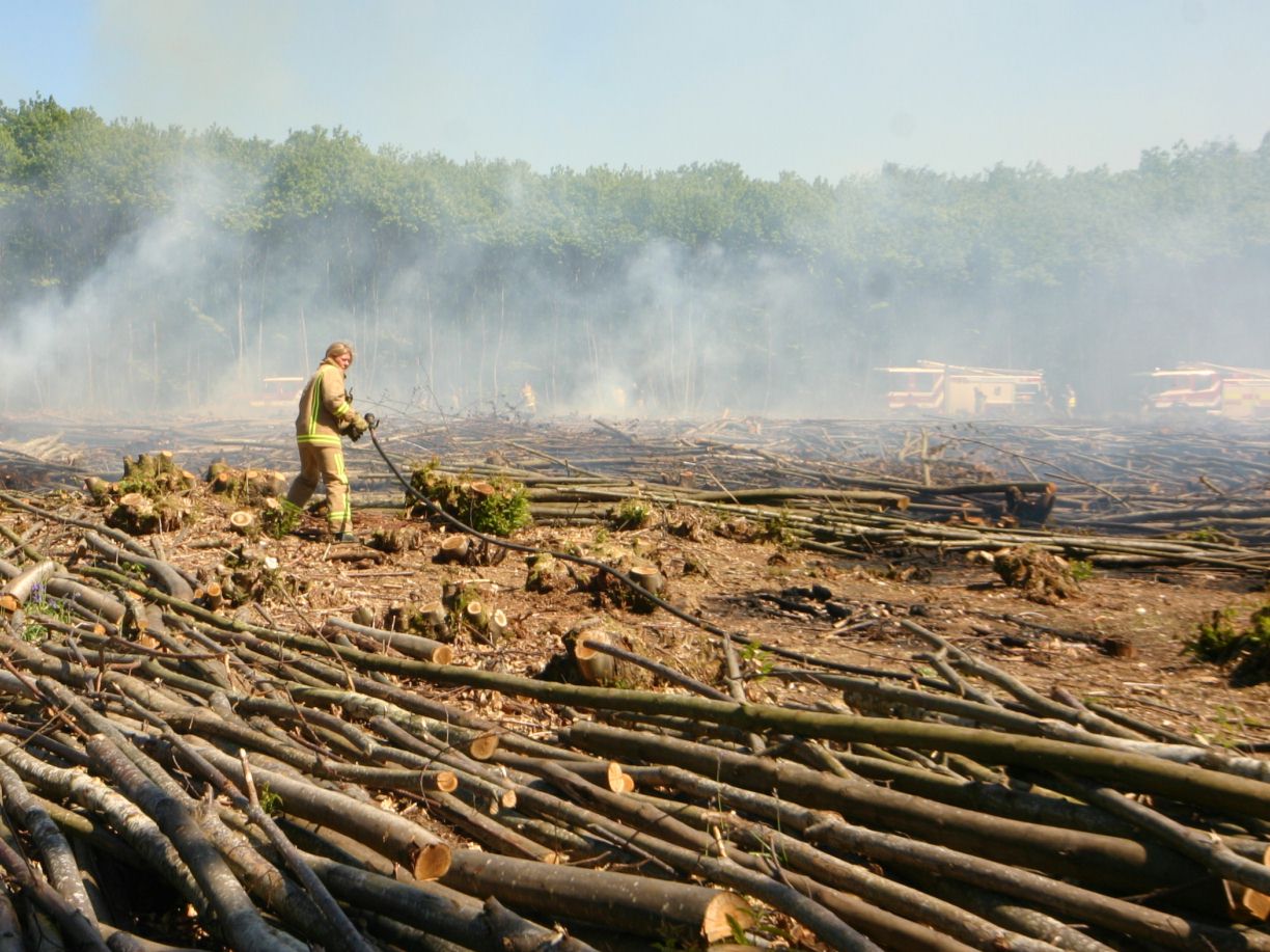 click image to return