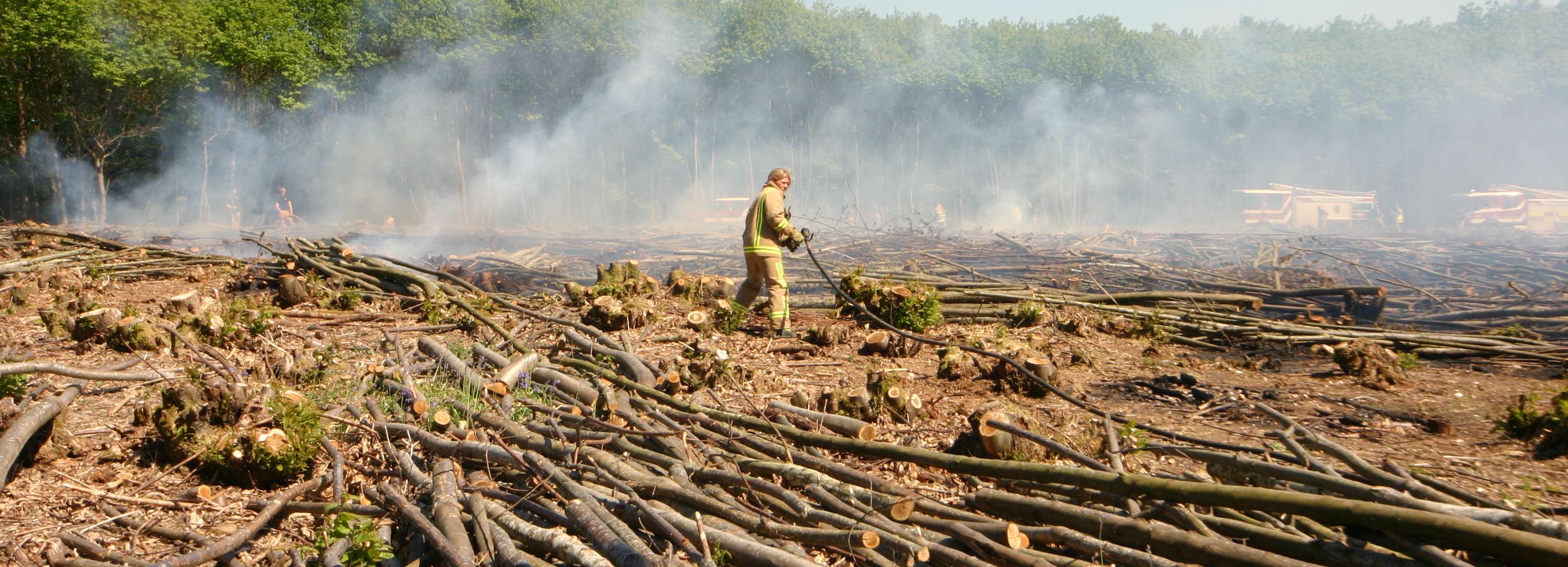 click image to return