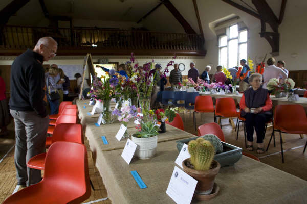 Flower show 2009 - 01