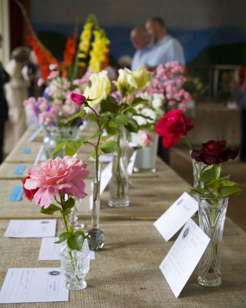 Flower show 2009 - 01