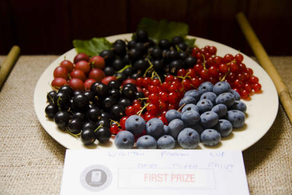 Flower show 2009 - 01