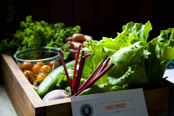 Flower show 2009 - 01