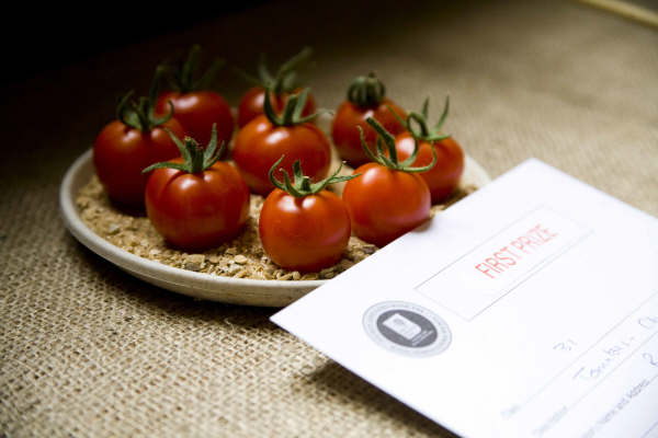 Flower show 2009 - 01