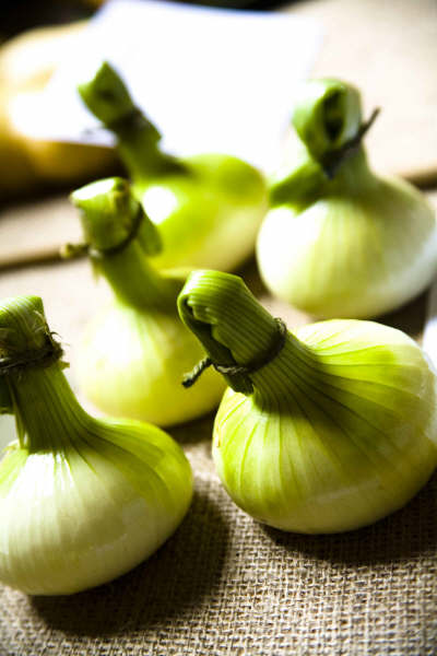 Flower show 2009 - 01
photo - Adam Rowley