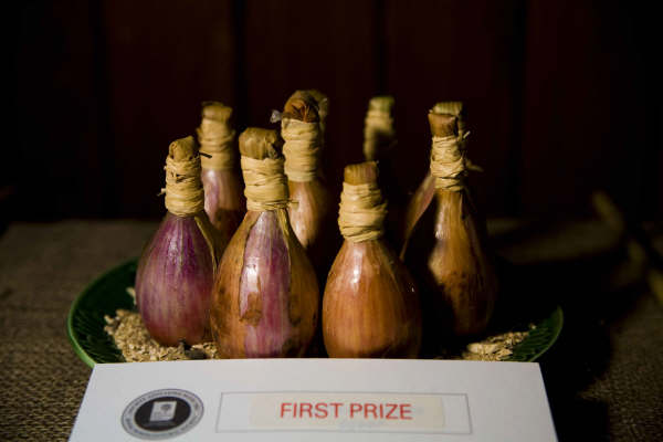 Flower show 2009 - 01