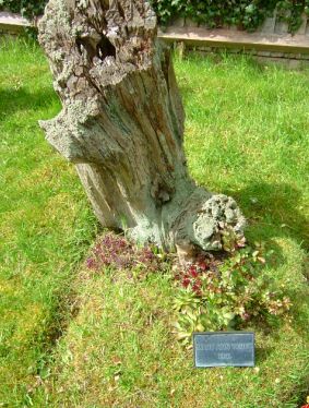 St. James churchyard