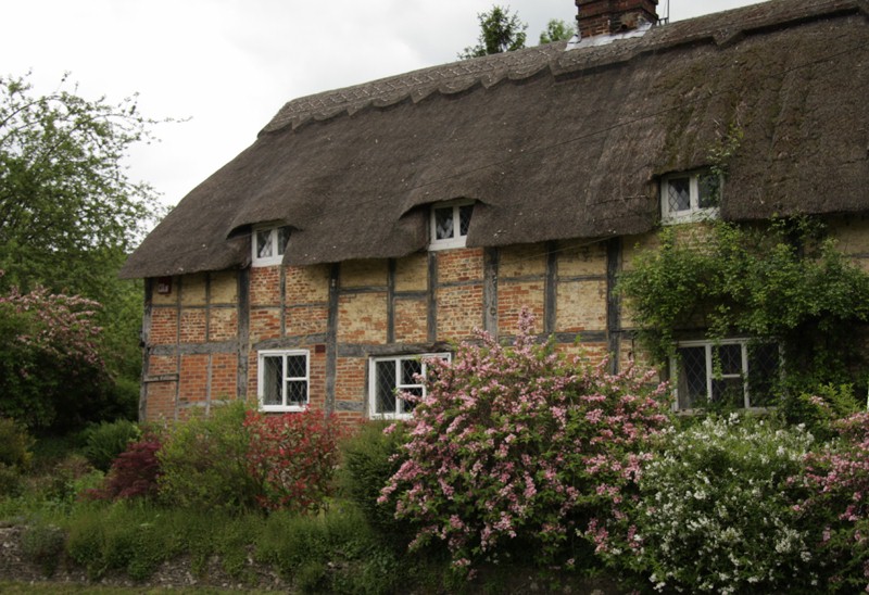 &copy; Judi Lion - click image to return