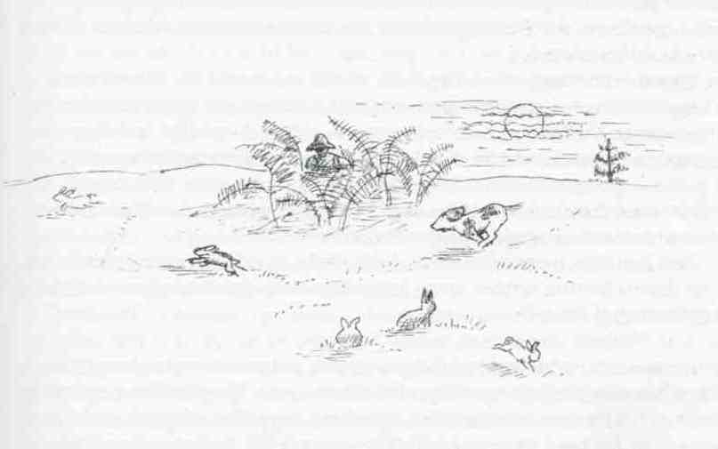 Poaching was a lively issue