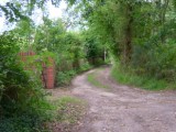 Track to Polecats