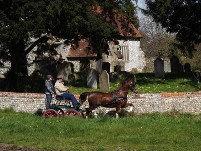 Heyshott