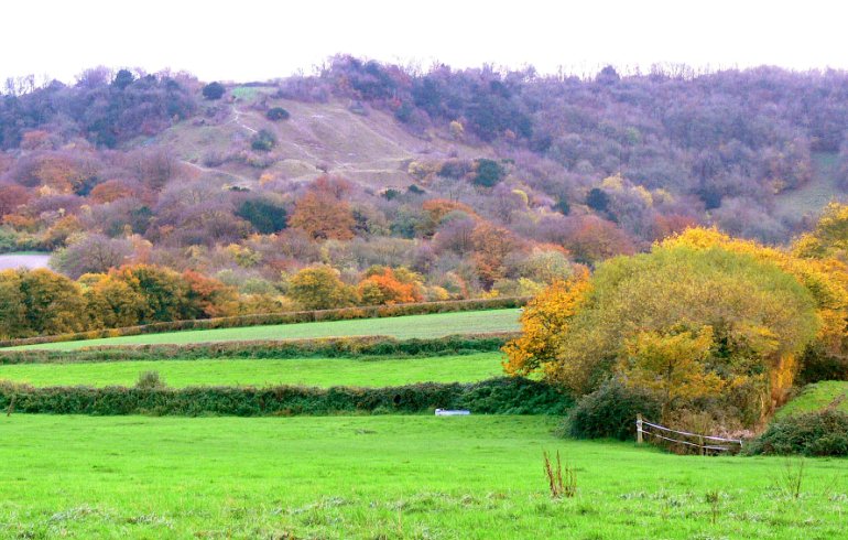 Heyshott