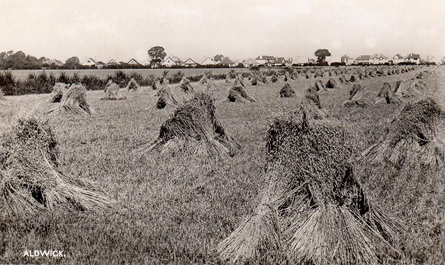 Old Aldwick Photographs - click to return