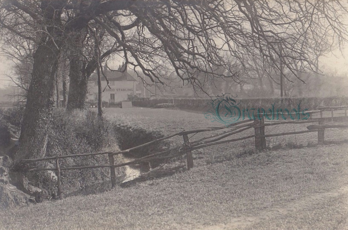 click image to return