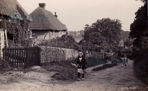 Old Houghton near Amberley