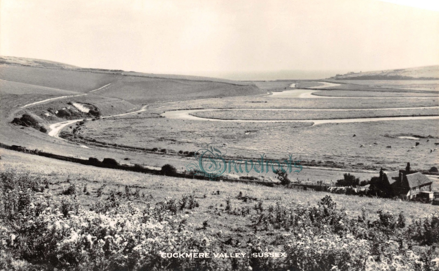 Cuckmere Valley, Sussex, click image to return