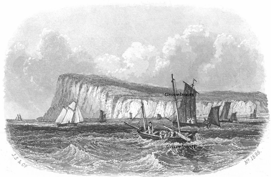 Lighthouse, Beachy Head, Nr Eastbourne, Sussex, click image to return