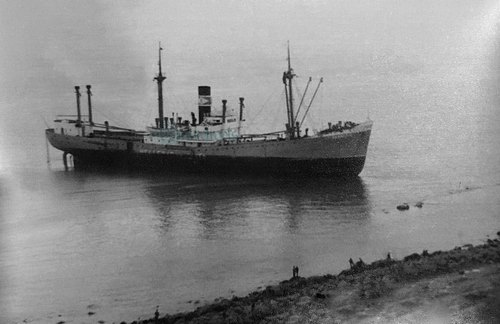 Old Beachy Head