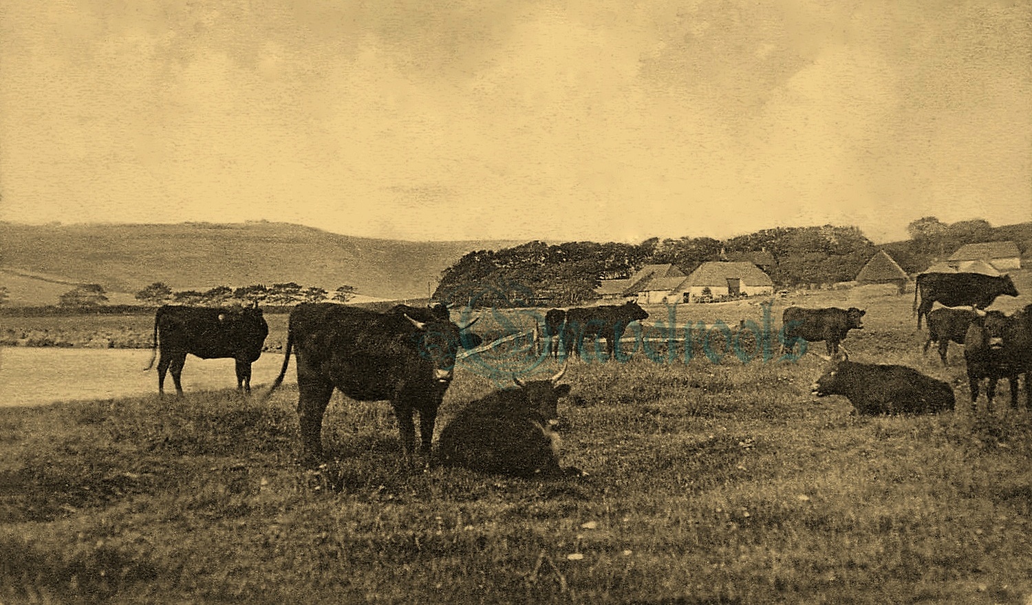 Chyngton, Cuckmere Valley, Sussex, click image to return