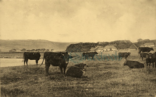 Old Cuckmere Haven Caravan Site