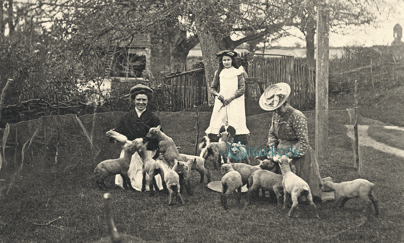 Billingshurst, Sussex - click image to return