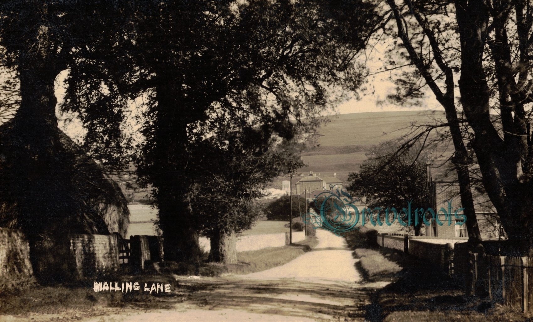 Malling Lane, Lewes, Sussex - click image below to return