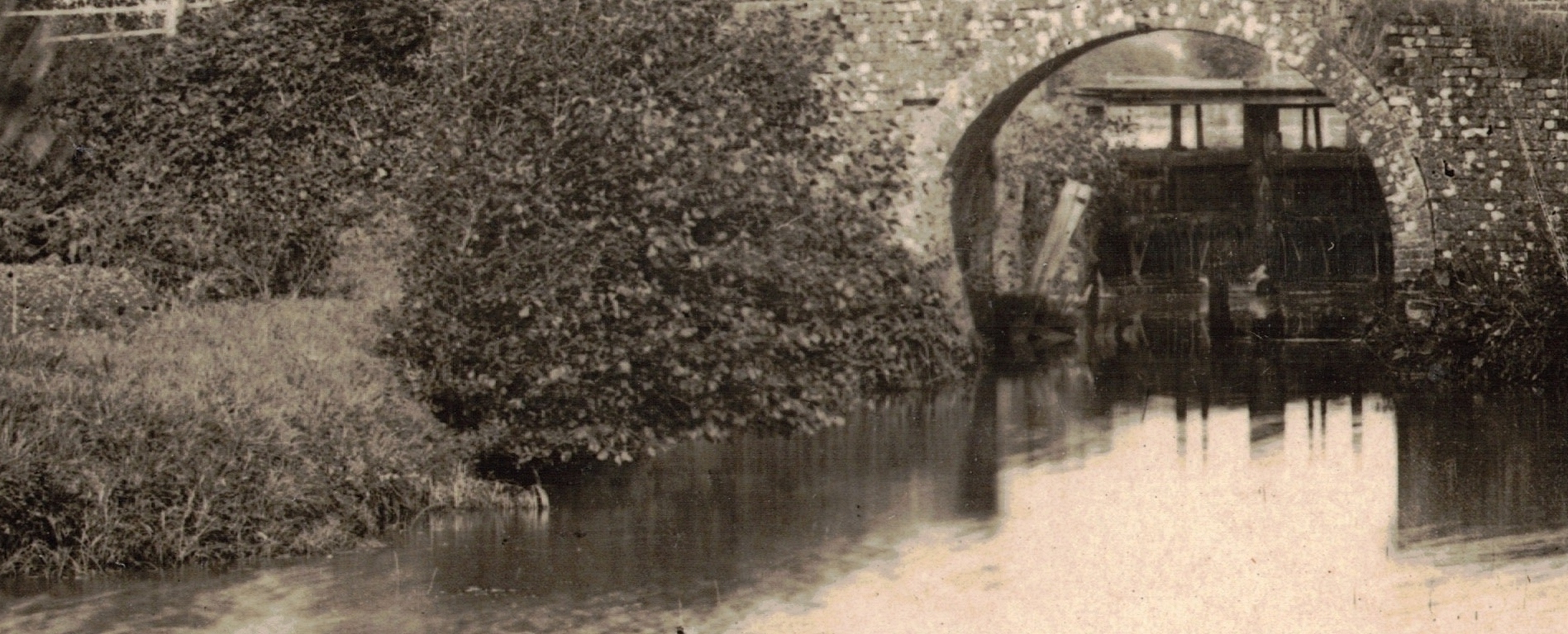 click image to return to album