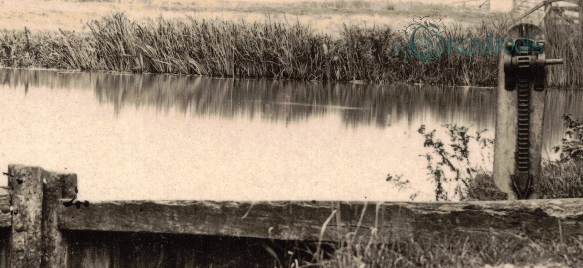 click image to return to album