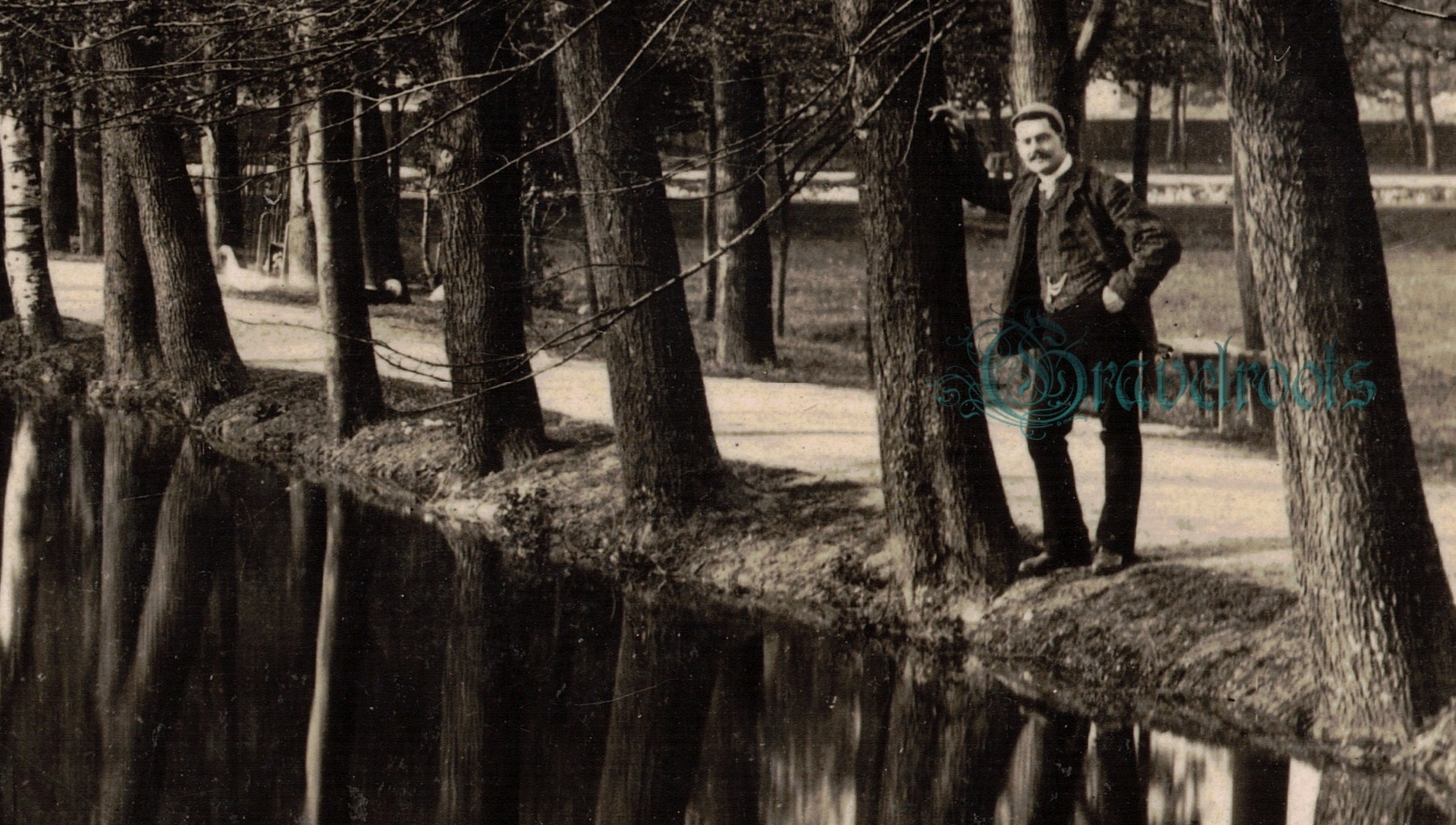 click image to return to album